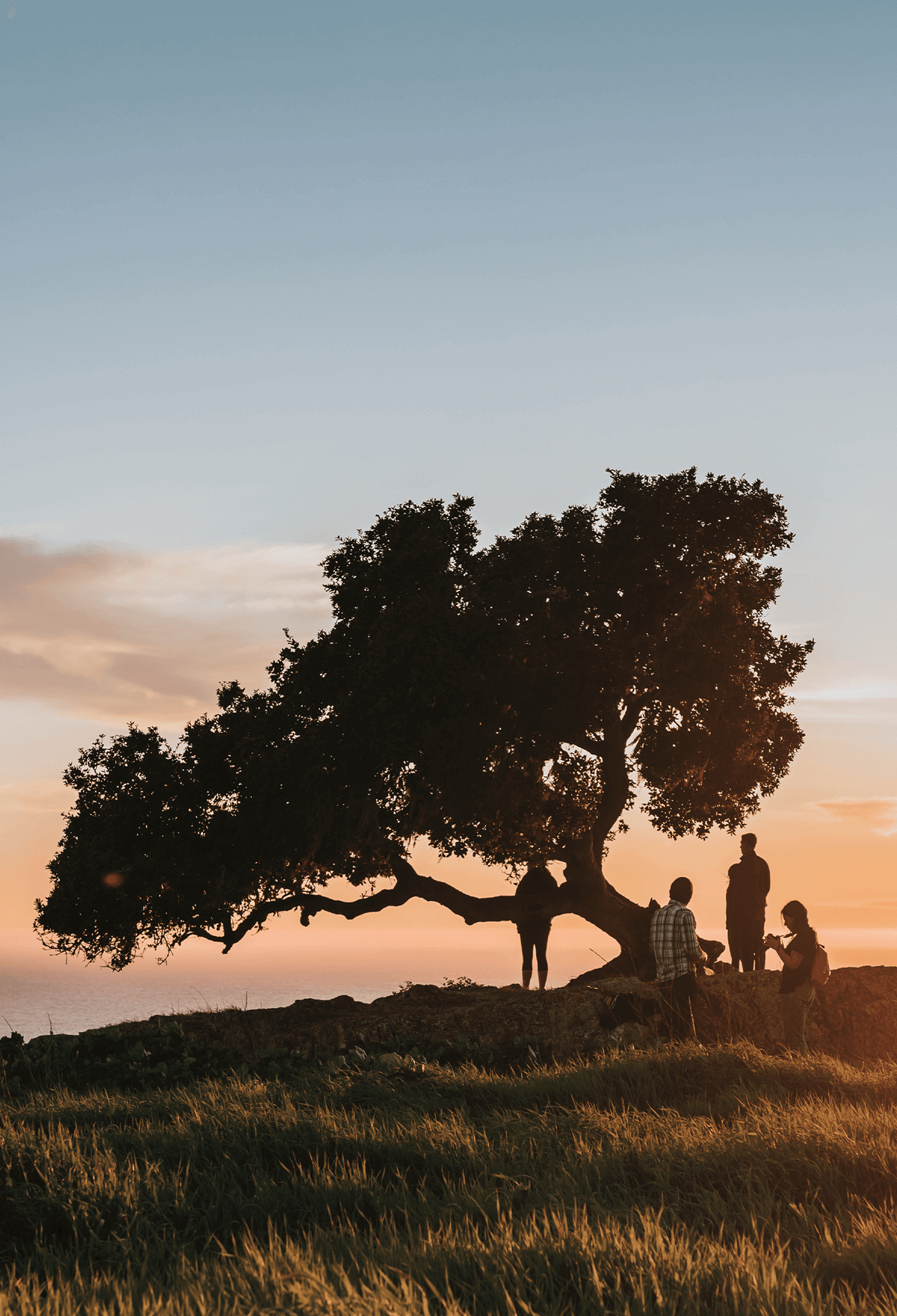 Join Us in Making a Difference